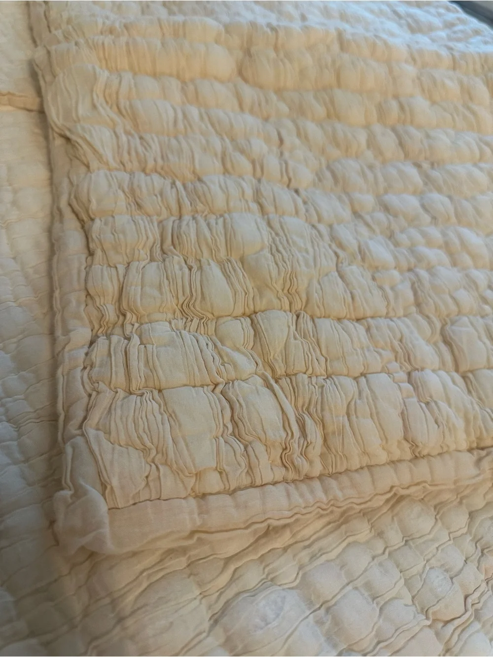 Pottery Barn Cream Quilted Coverlet and matching shams